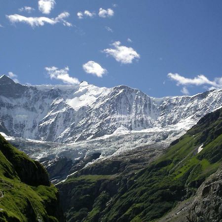 Chalet Verbrunnenhaus جريندلوالد المظهر الخارجي الصورة