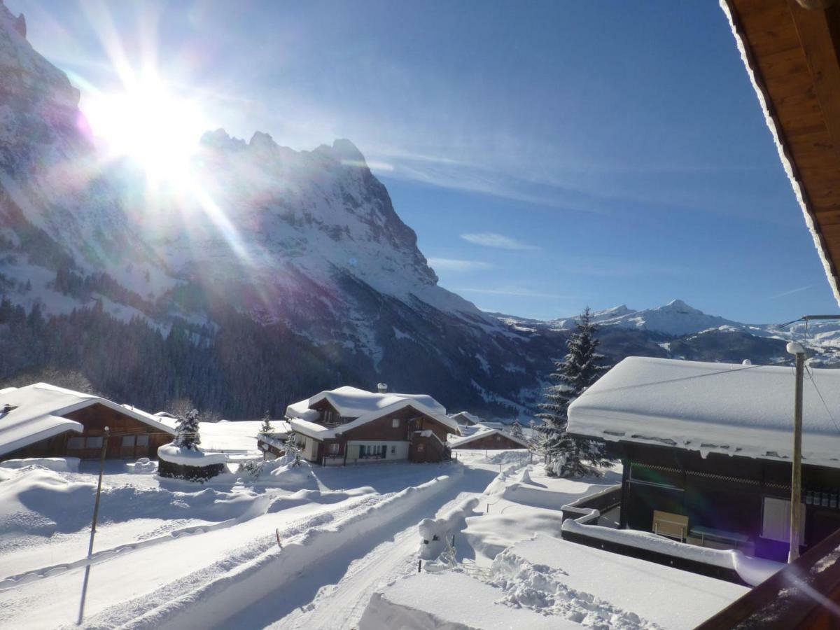 Chalet Verbrunnenhaus جريندلوالد المظهر الخارجي الصورة