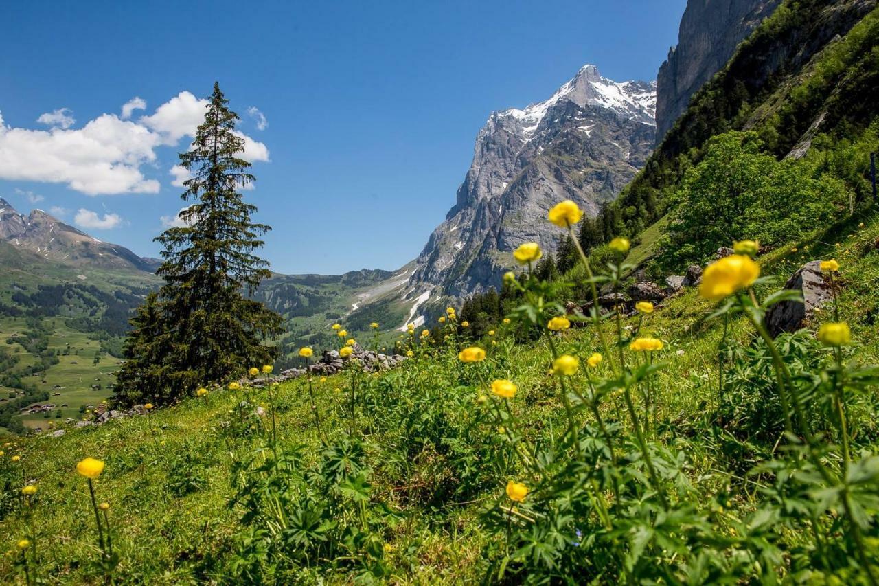 Chalet Verbrunnenhaus جريندلوالد المظهر الخارجي الصورة